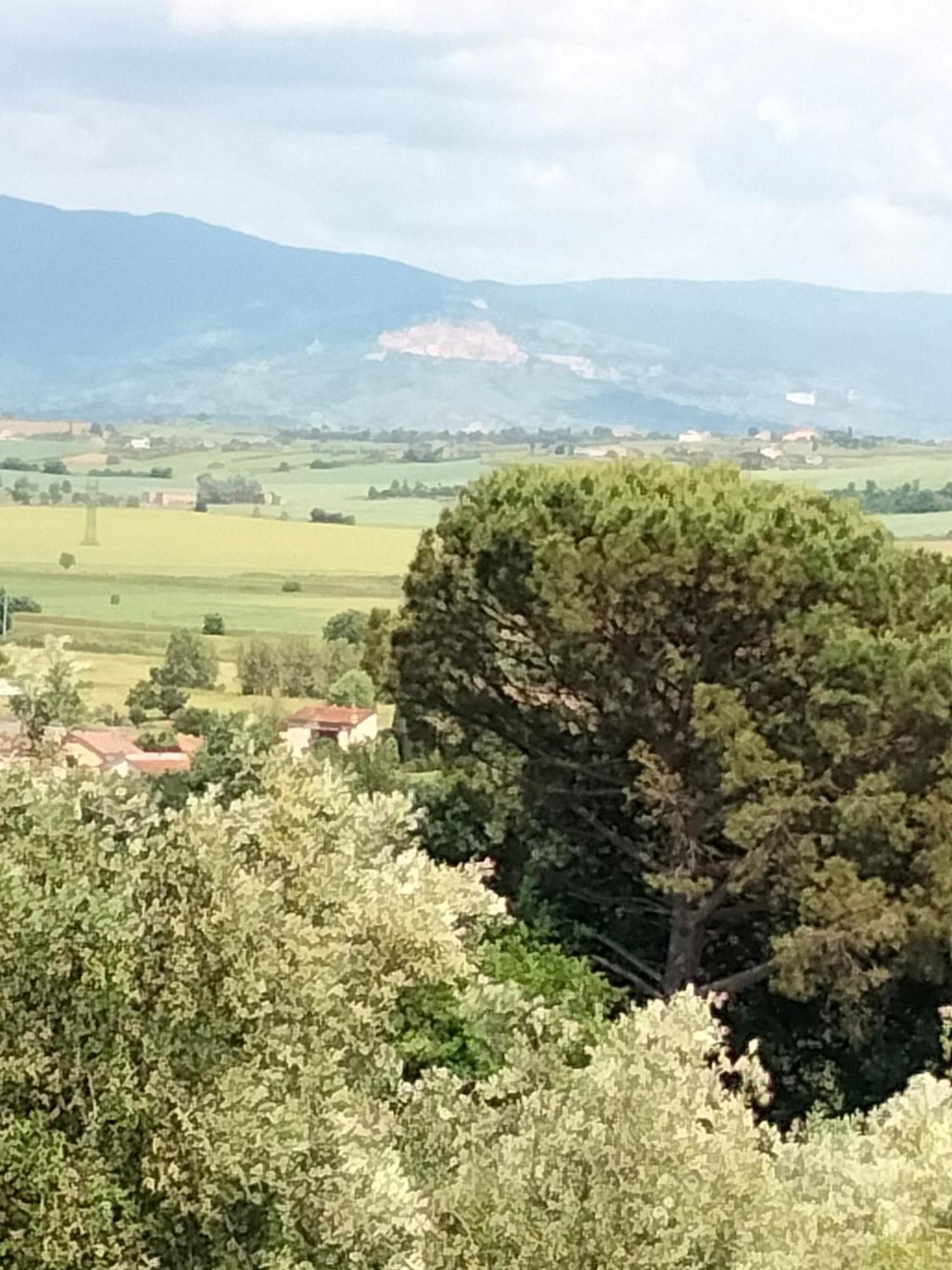 Villa Spaccasole Su Cortona Foiano Della Chiana Buitenkant foto