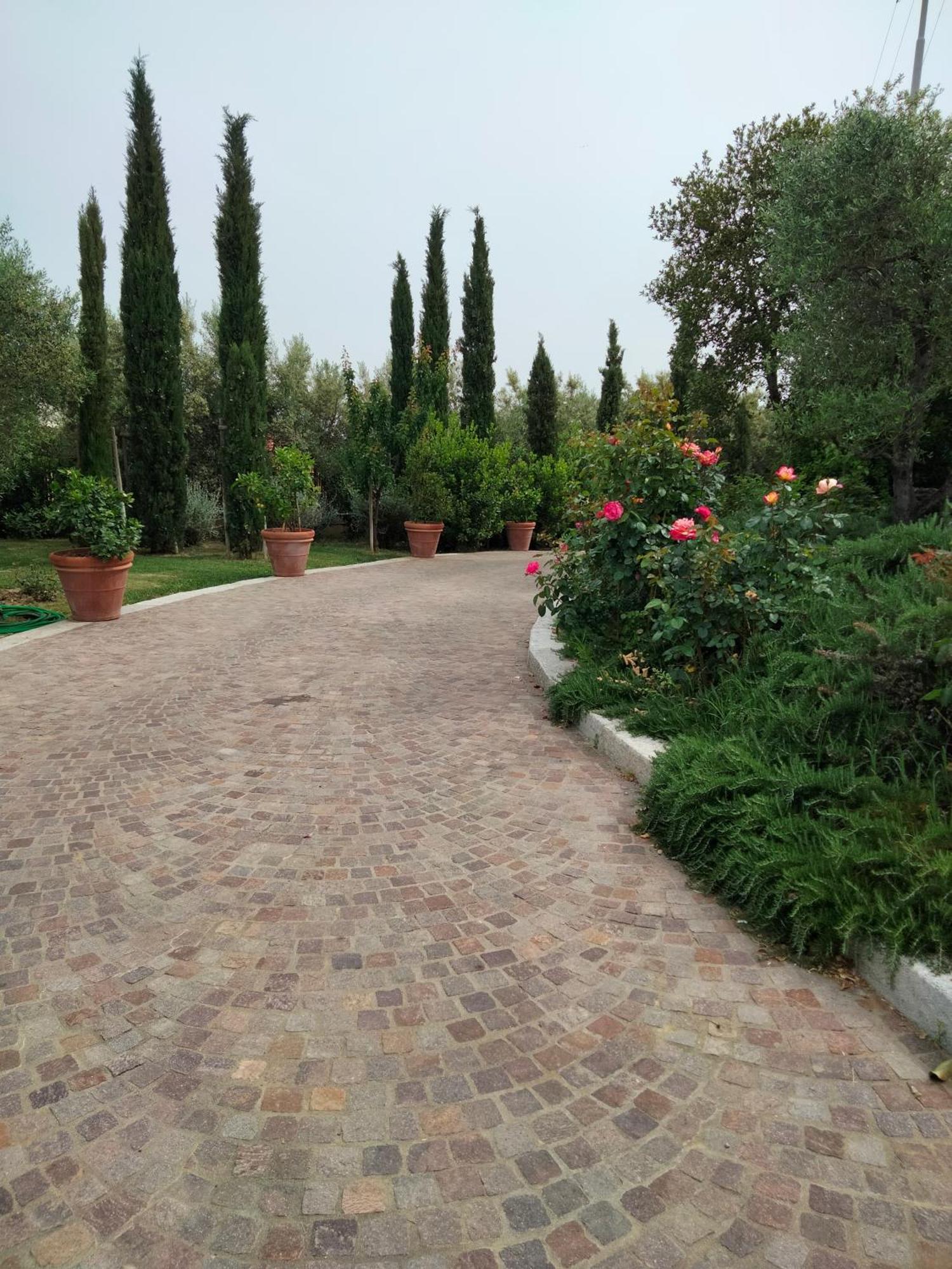 Villa Spaccasole Su Cortona Foiano Della Chiana Buitenkant foto