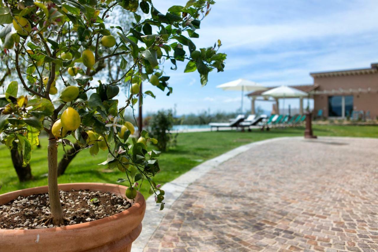 Villa Spaccasole Su Cortona Foiano Della Chiana Buitenkant foto