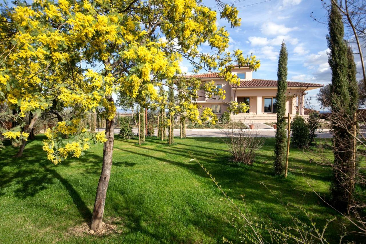 Villa Spaccasole Su Cortona Foiano Della Chiana Buitenkant foto